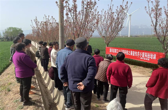 ؿЭٰʮ조Ƽ֮СƼѵ