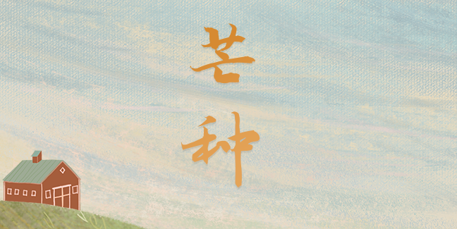 今日芒种丨祝你：“芒”有所获，“种”有所得