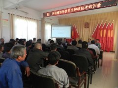 ʡؿЭѳǾٰ쾫׼ƶֲѵ