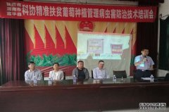 ʡؿЭٰ쾫׼ƶƼѹѵ