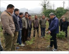 μϣؿЭͿƼ ʯרҽ԰