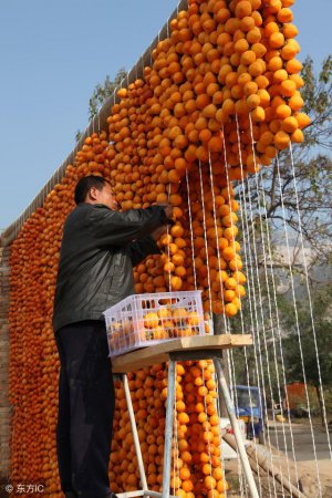 ƽعũЭ ȫƼ׼ƶȽŶӡ