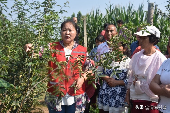 全国科技活动周:渭南市科协精准把脉 为村域产业发展送良方