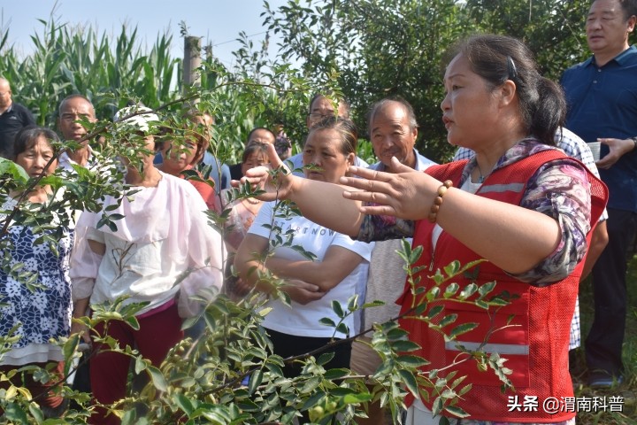全国科技活动周:渭南市科协精准把脉 为村域产业发展送良方