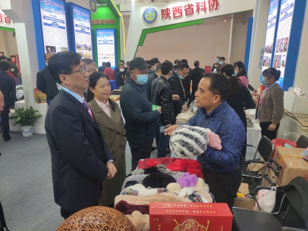 μпЭ֯μӵ27йũ߻