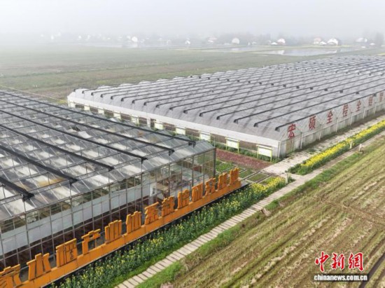 3��13�գ�����λ�ڶ�ͥ��ƽԭ�ĺ��ϴ�ͨ���������������ǻ�ũ���� ��� ��